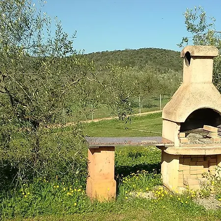 Podere Borgognano Massa Marittima