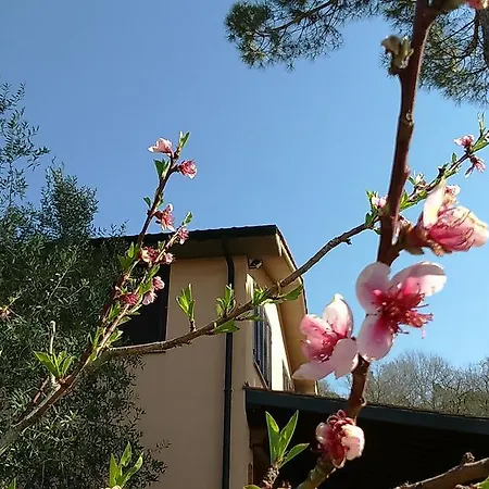 Podere Borgognano